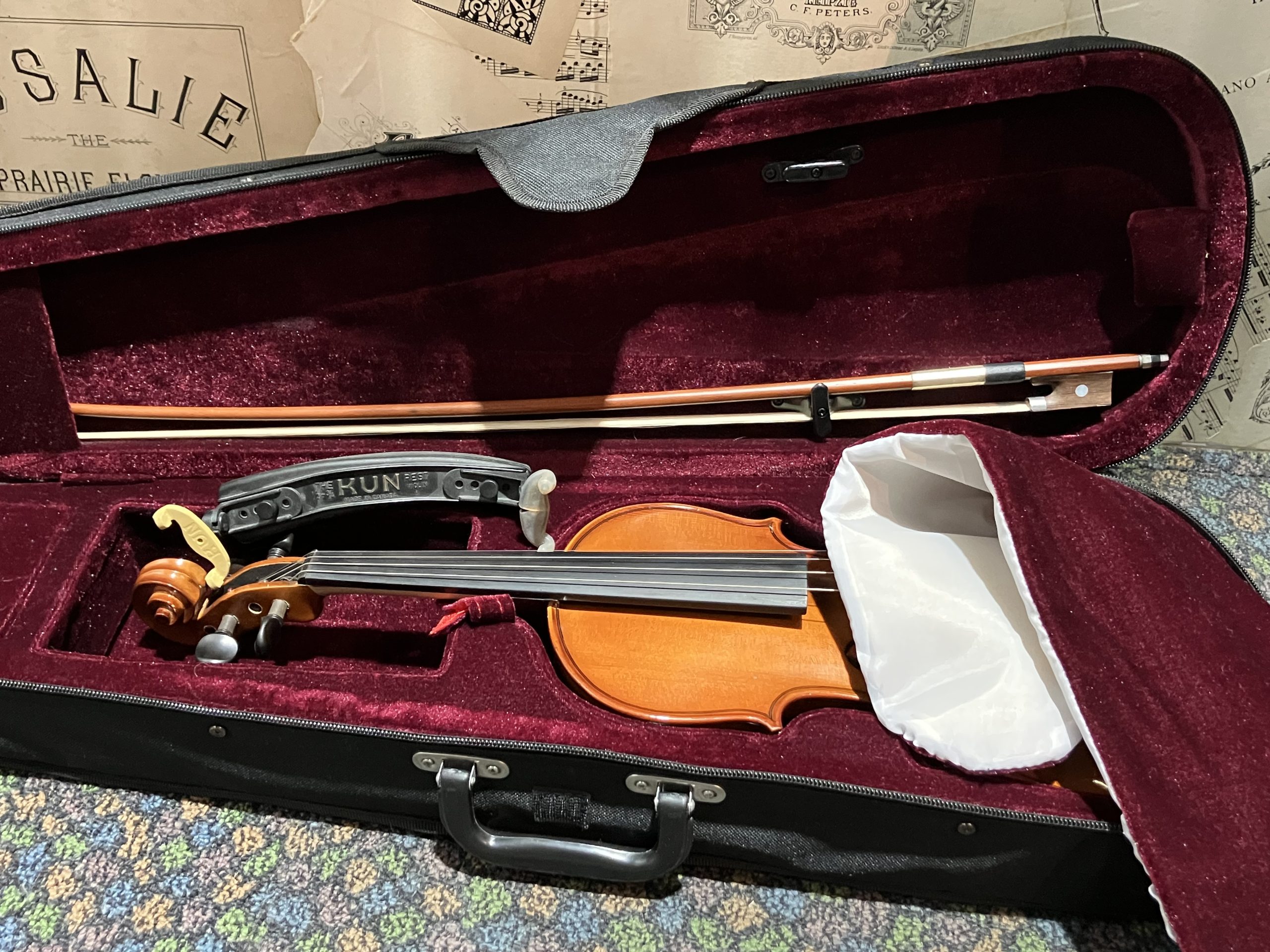 Hofner 1/2 Size Violin Outfit - Secondhand - Image 4